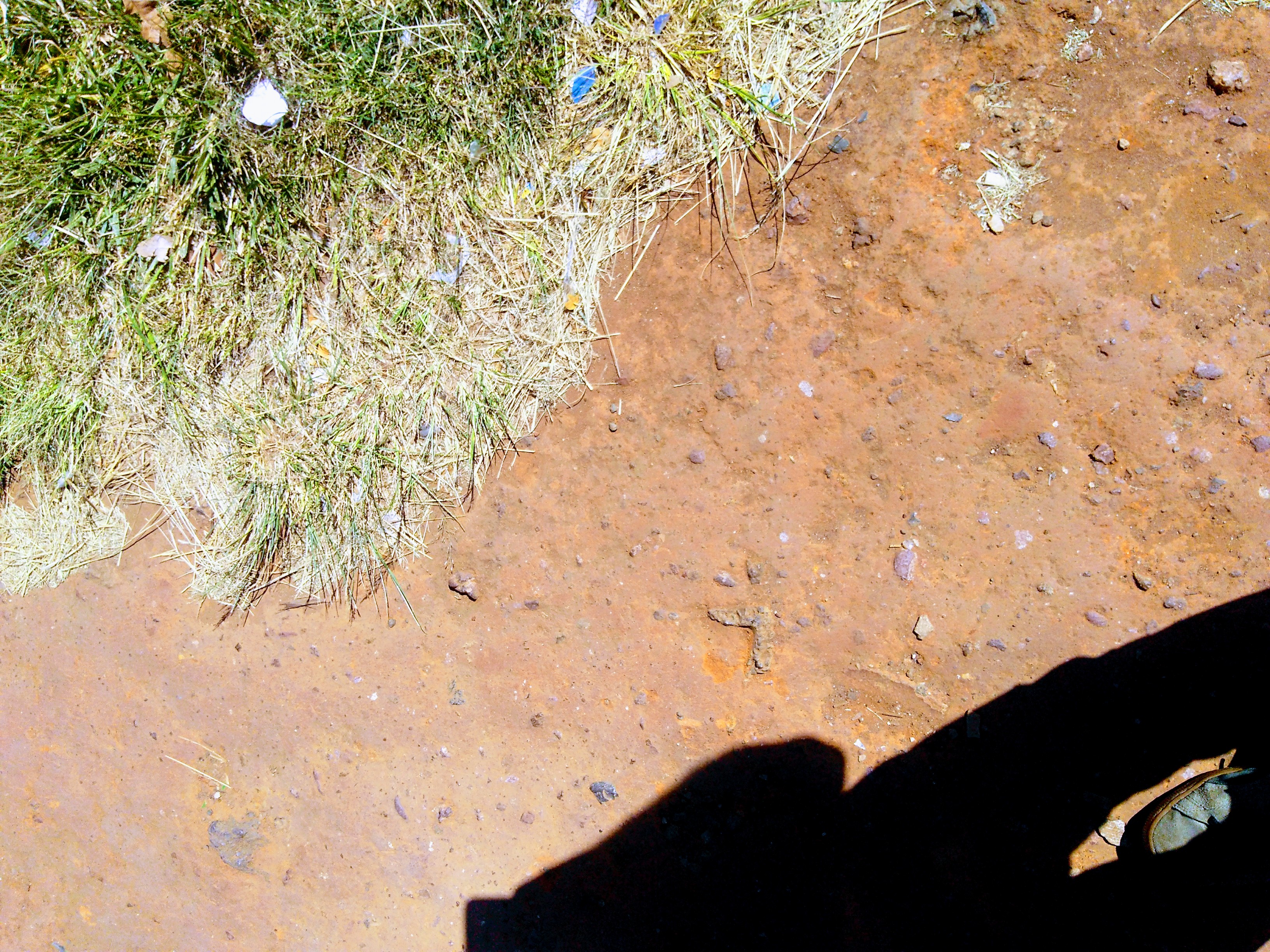 IMG_20180510_114740948